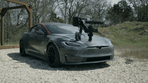Apex Predator GIF by FullMag