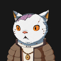 Cat Smile GIF by Kitaro World