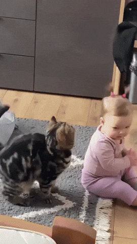 g0ldie giphyupload GIF