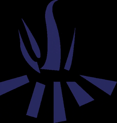 kajahus2019 giphygifmaker tuli partio partioscout GIF