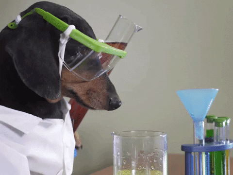 Crusoegifs giphyupload science chemistry science experiment GIF