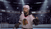 teamfieldwork hockey mad filip hokey GIF