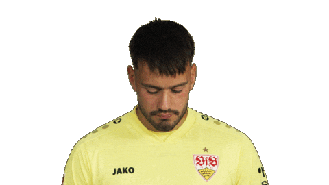 Look Up Vfb Stuttgart Sticker by Bundesliga