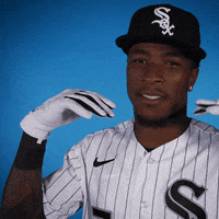 White Sox Baseball GIF by Chicago White Sox