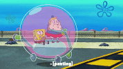 season 10 episode 6 GIF by SpongeBob SquarePants