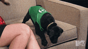 melissa benoist supergirl GIF by mtv