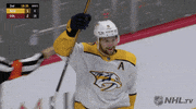 Celebrate Ice Hockey GIF by NHL