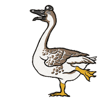 U Of R Spiders Sticker by University of Richmond