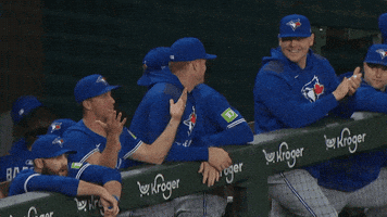 Blue Jays Baseball GIF by Toronto Blue Jays