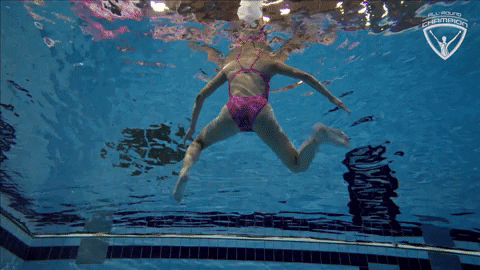 Arc Olympian GIF by All-Round Champion