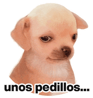 Sad Meme Sticker by Petra Koko