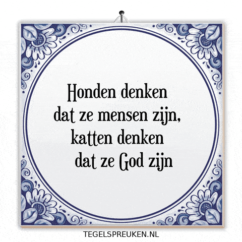 Humor Nl GIF by Tegelspreuken.nl