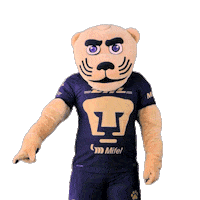 Football Sport Sticker by Pumas MX