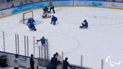 Paralympic Games GIF by International Paralympic Committee