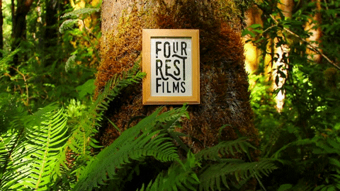 Short Films Logo GIF by Four Rest Films