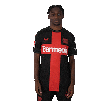 Posing Bayer 04 Sticker by Bayer 04 Leverkusen