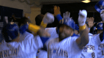 major league baseball sport GIF by MLB