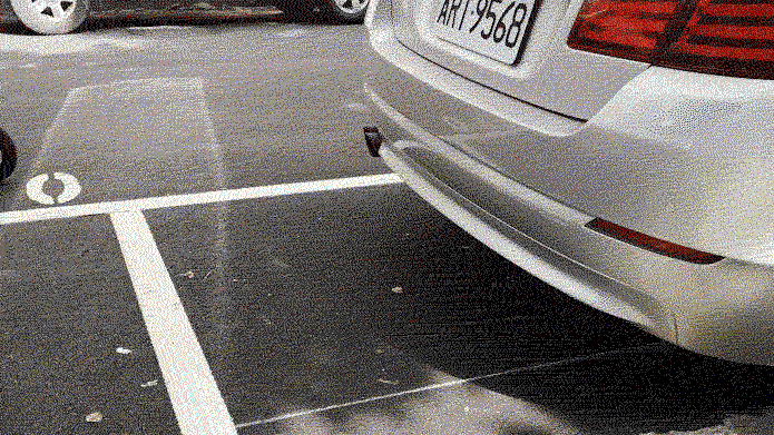 sahbk giphyupload GIF