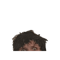 Sticker What Sticker