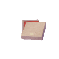 pakerapakera unboxing earrings earring pink box Sticker