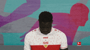 Vfb Stuttgart Football GIF by Bundesliga