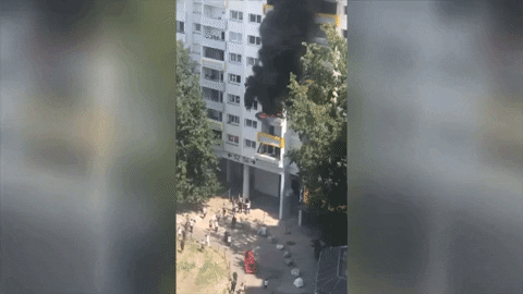 nsc_total giphygifmaker GIF