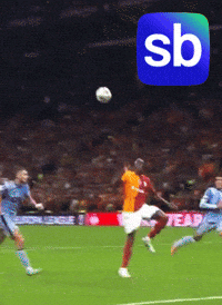 Galatasaray Gs GIF by Sporbulteni