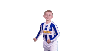 Voetbalvereniging_Scherpenzeel sport voetbal bal blauwwit Sticker