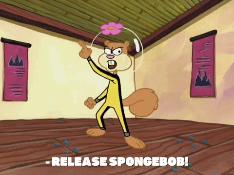 season 4 whale of a birthday GIF by SpongeBob SquarePants