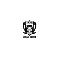 team street workout Sticker by Daniel Flefil