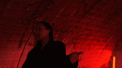Wmg Lalana GIF by Warner Music Poland