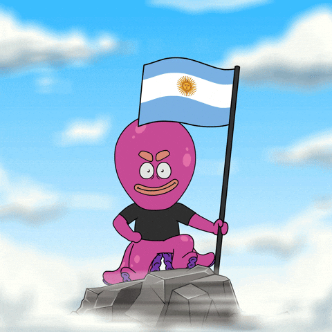 Flag Argentina GIF by Octo Gaming