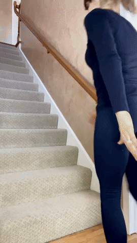 sigfriez giphygifmaker GIF