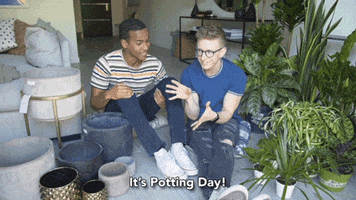 youtube house GIF by tyler oakley