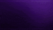Go Get It GIF by Minnesota Vikings
