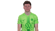 Football Hello Sticker by VfL Wolfsburg