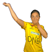 Champions League Snake Sticker by LSK Kvinner FK