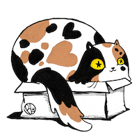 loeblich cat wow amazing kitty Sticker