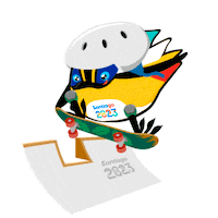 Skate Skateboard Sticker by Santiago 2023
