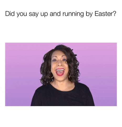 ComedianHollyLogan meme 2020 help covid GIF