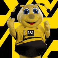 Soccer Futbol GIF by Borussia Dortmund