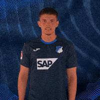 Sport Bundesliga GIF by TSG Hoffenheim