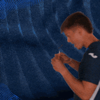 Sport Bundesliga GIF by TSG Hoffenheim