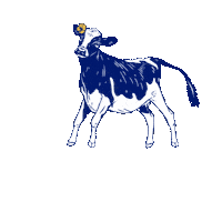 altadenadairy delicious milk cow cows Sticker