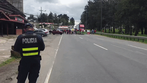juandiegocordoba giphyupload GIF