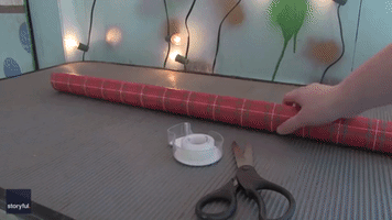 In Case You Were Wondering, Here's How to Wrap a Goat as a Christmas Present