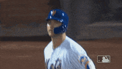 Celebrate Home Run GIF by New York Mets