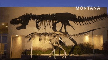Dinosaur GIF by Visit Montana