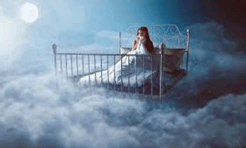 erivancamposconde giphygifmaker GIF