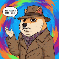 Suspicious Believe It GIF by Doge Pound